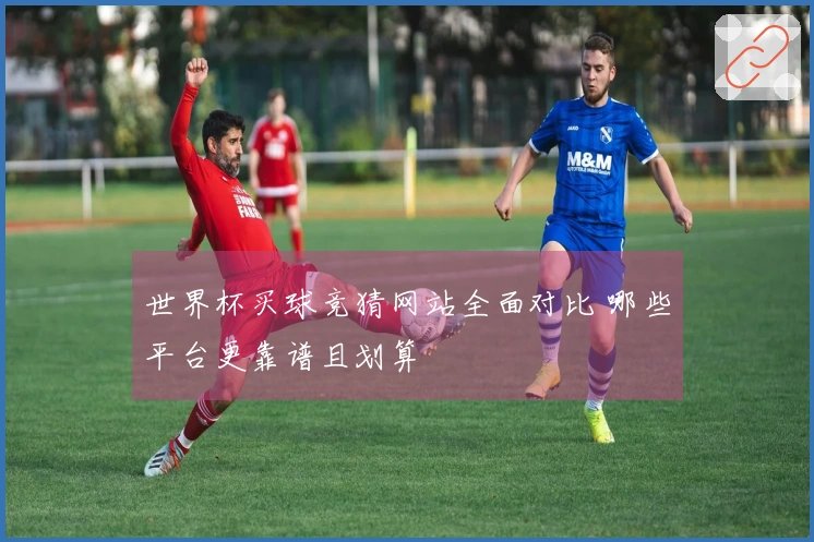 世界杯买球竞猜网站全面对比 哪些平台更靠谱且划算