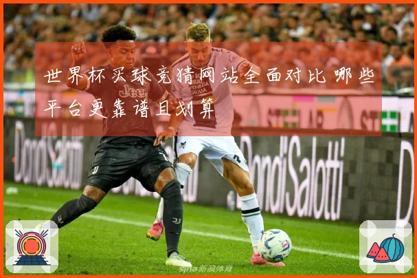 世界杯买球竞猜网站全面对比 哪些平台更靠谱且划算