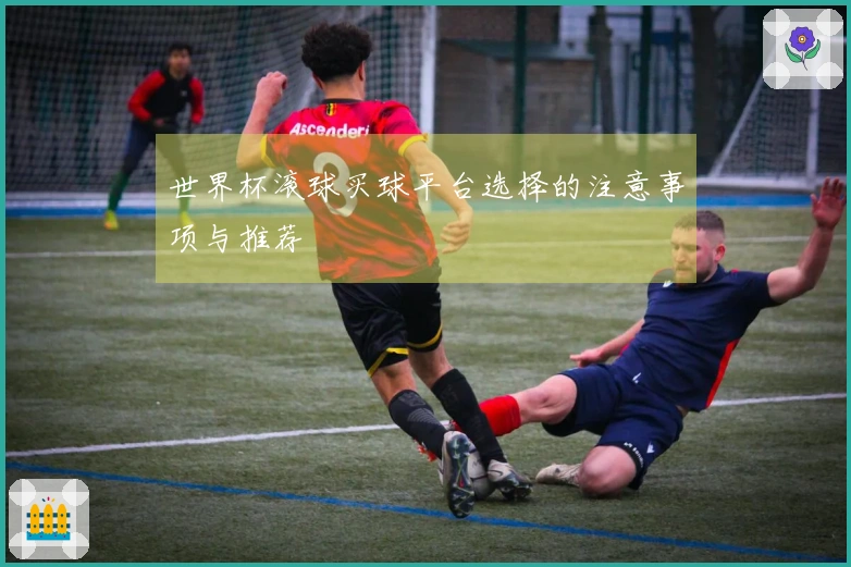 世界杯滚球买球平台选择的注意事项与推荐