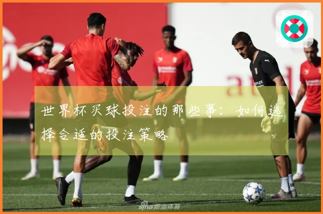 世界杯买球投注的那些事：如何选择合适的投注策略