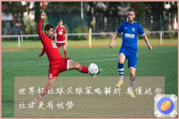 世界杯让球买球策略解析 看懂这些让你更有优势